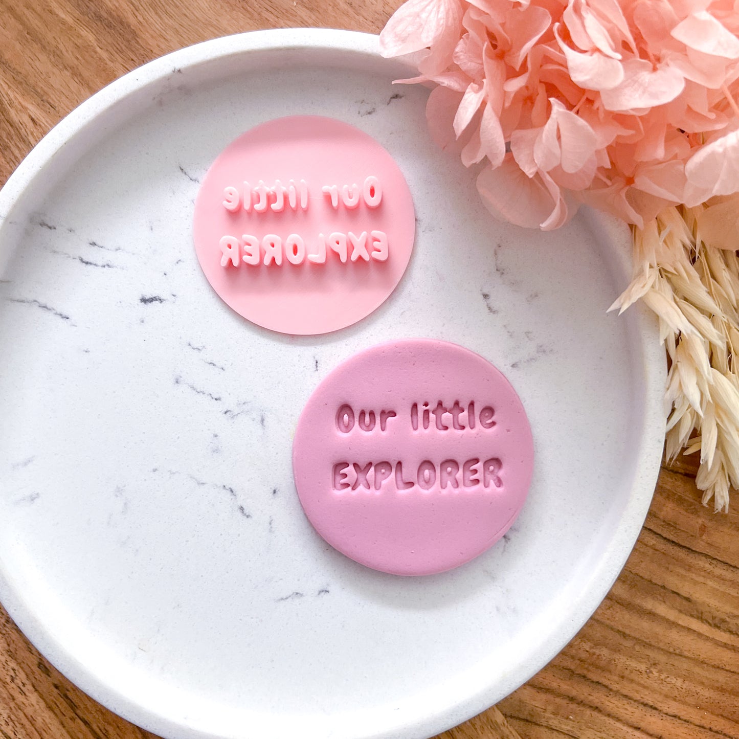 "Our Little Explorer" Fondant Stamp
