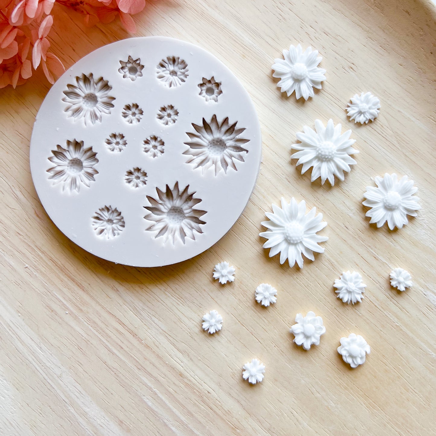 Daisy Set