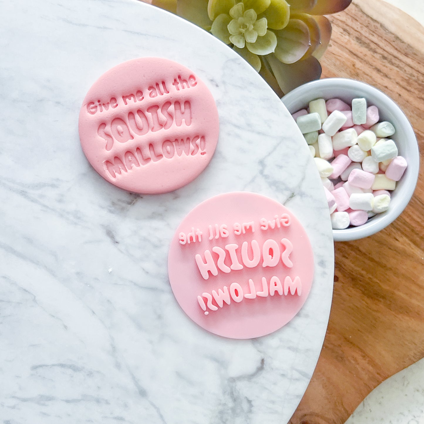"Give Me All The Squishmallows" - Fondant Stamp