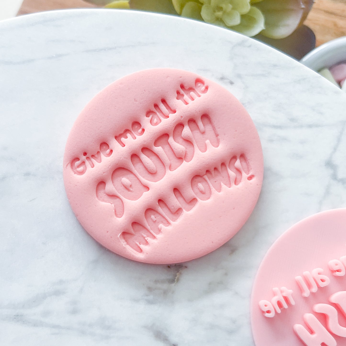 "Give Me All The Squishmallows" - Fondant Stamp