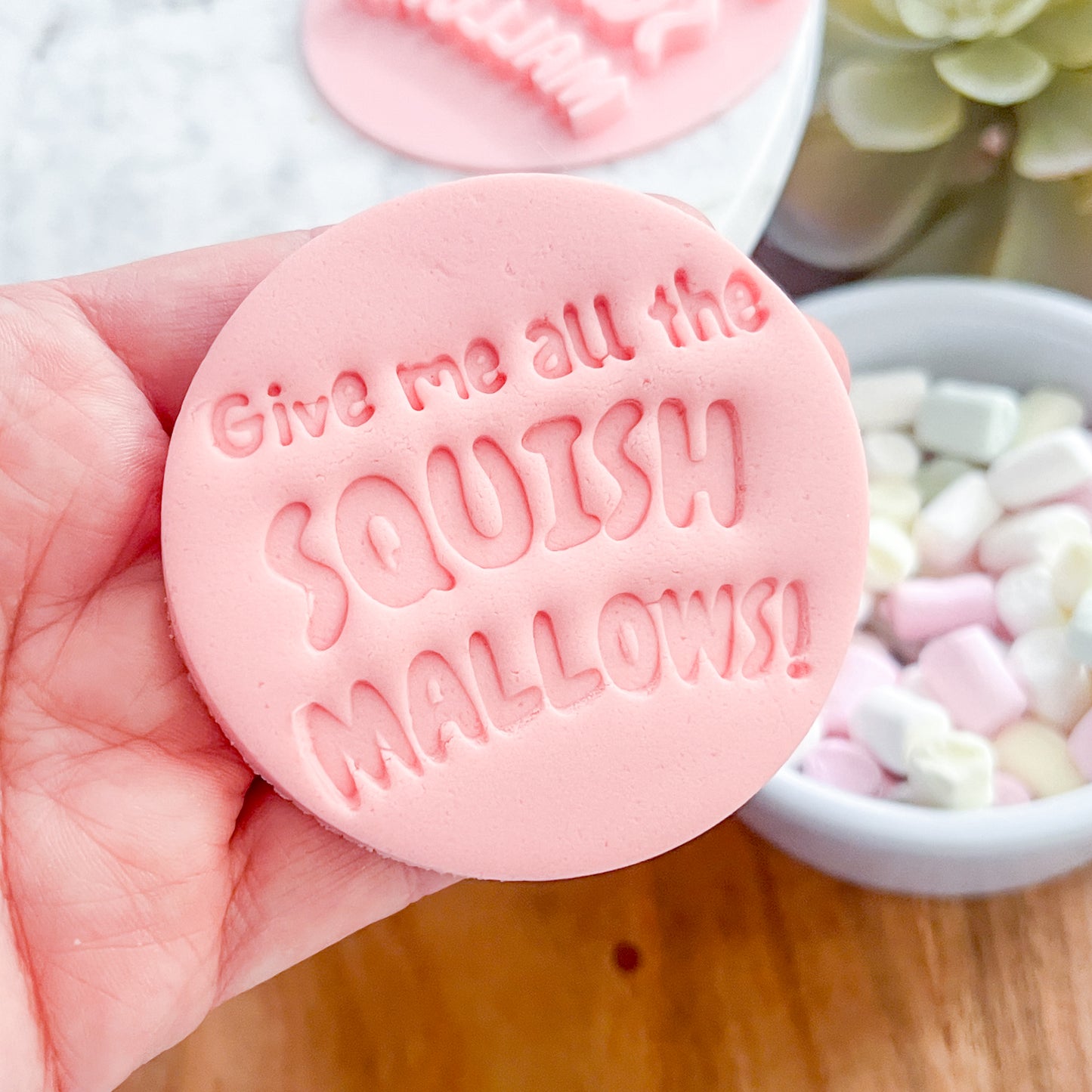 "Give Me All The Squishmallows" - Fondant Stamp