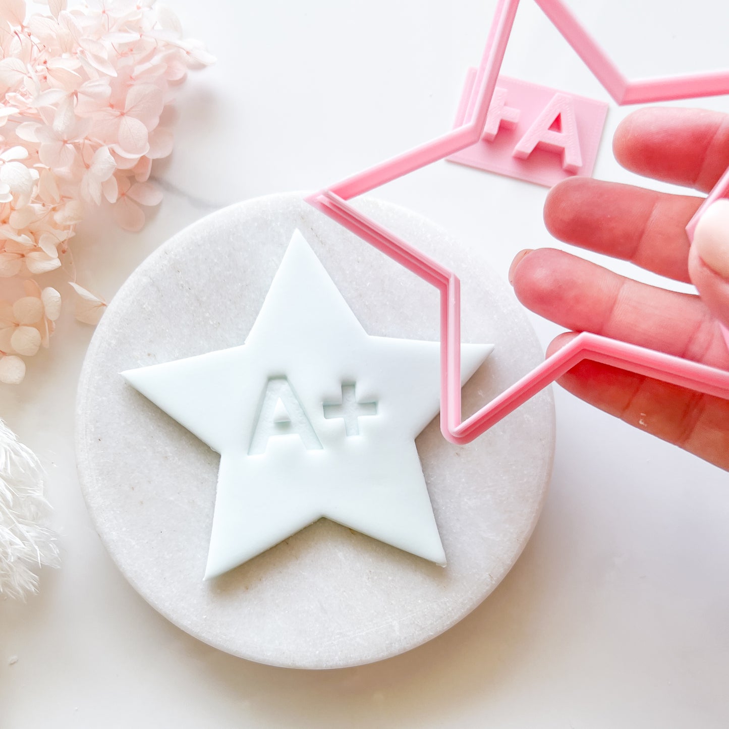 Star Cookie Cutter & A+ Stamp