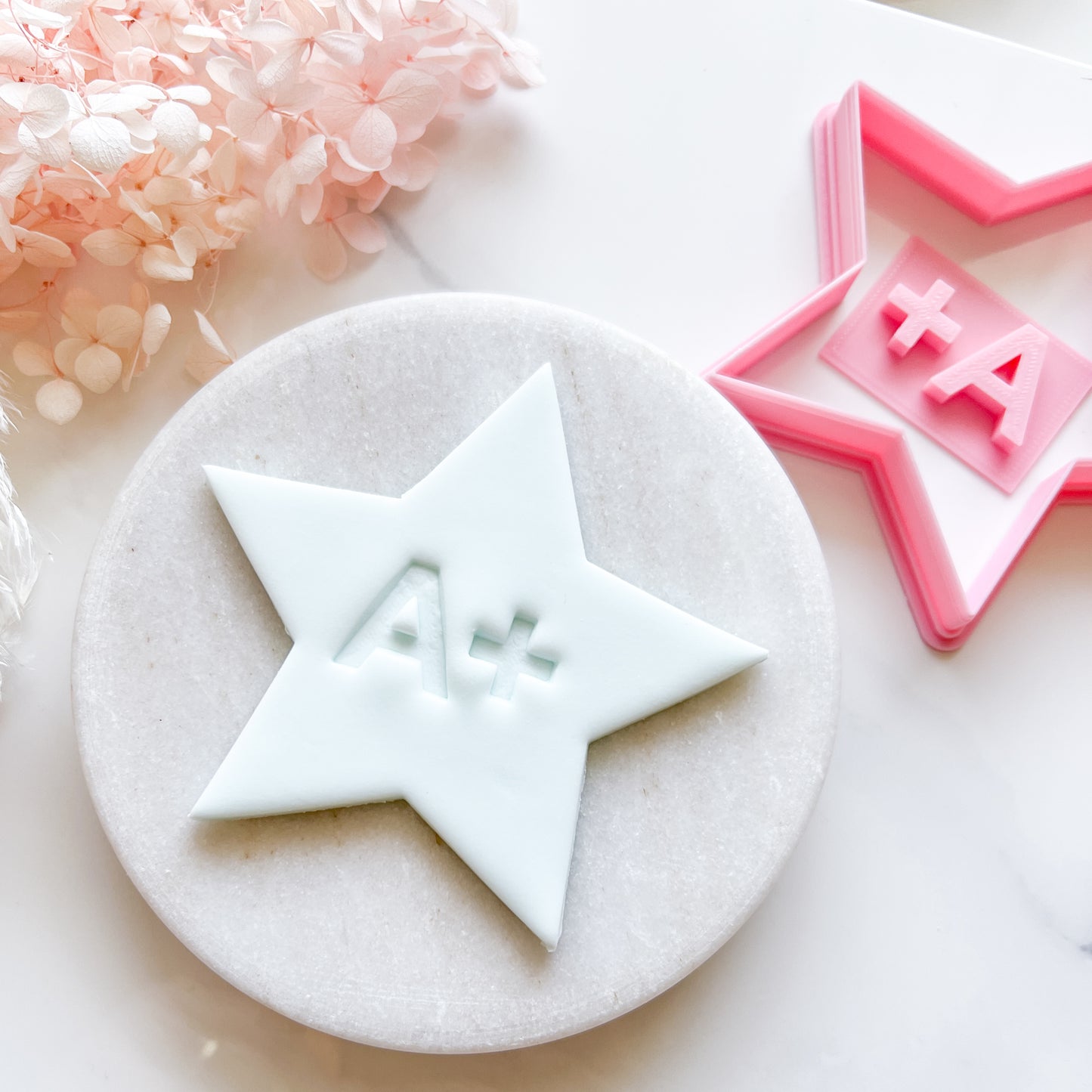 Star Cookie Cutter & A+ Stamp