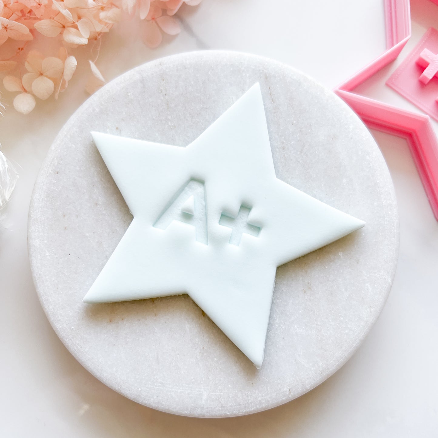 Star Cookie Cutter & A+ Stamp