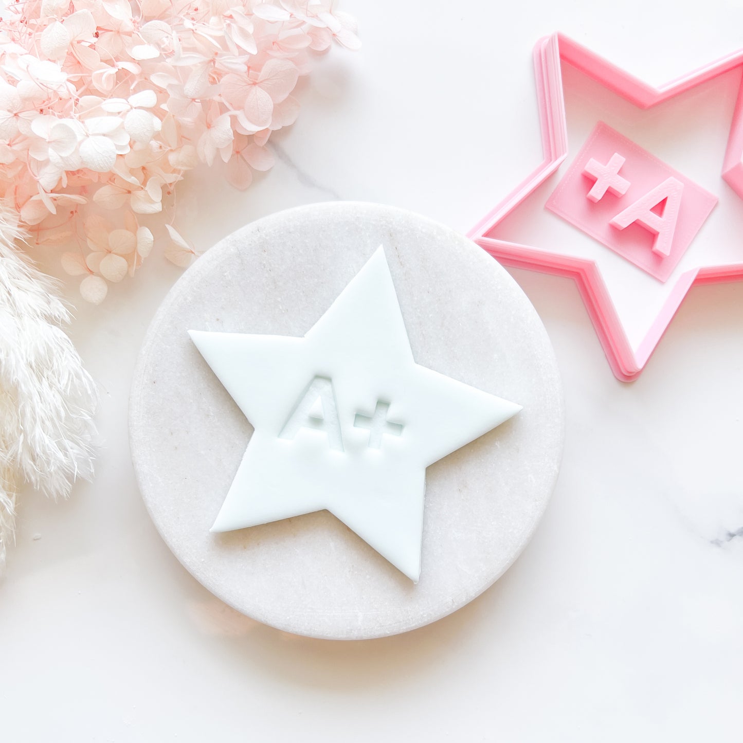 Star Cookie Cutter & A+ Stamp