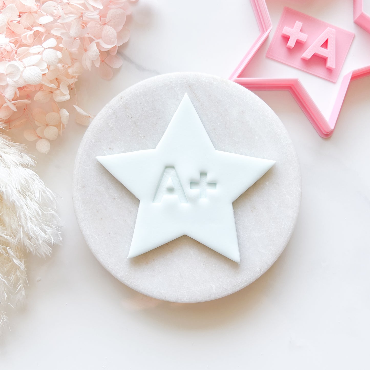 Star Cookie Cutter & A+ Stamp