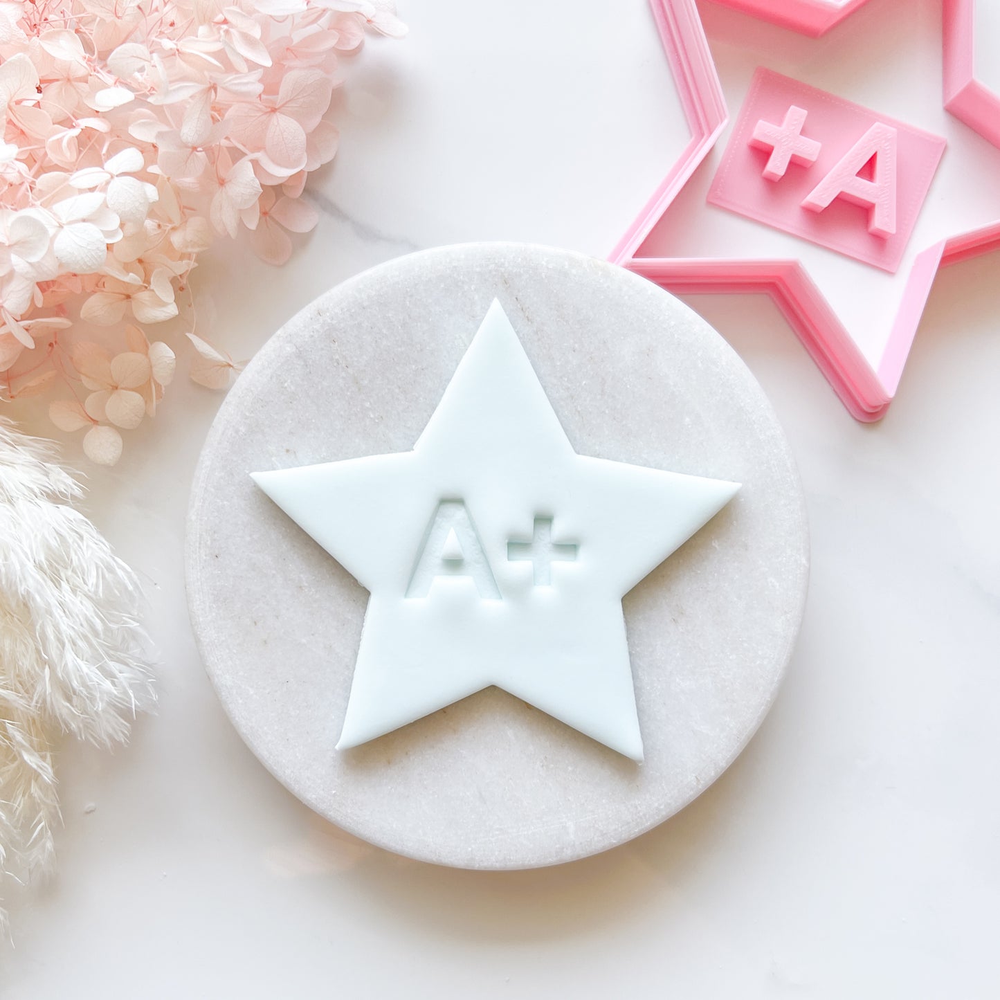 Star Cookie Cutter & A+ Stamp