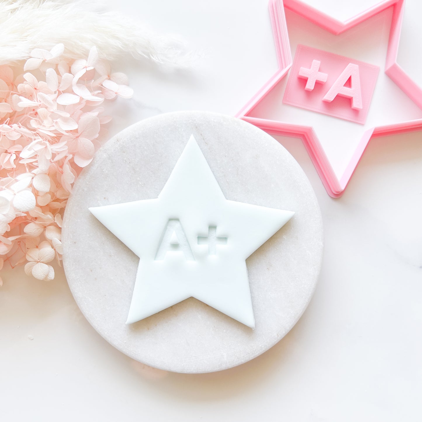 Star Cookie Cutter & A+ Stamp