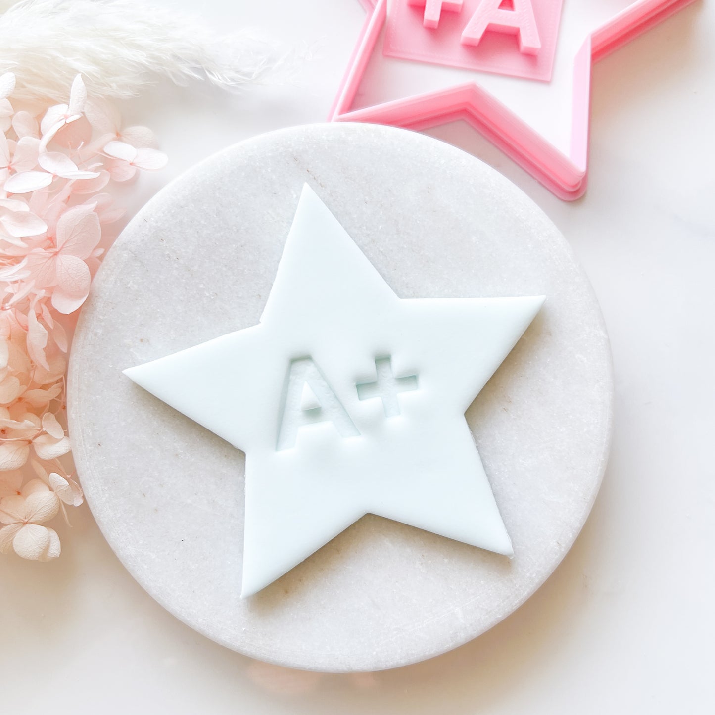 Star Cookie Cutter & A+ Stamp