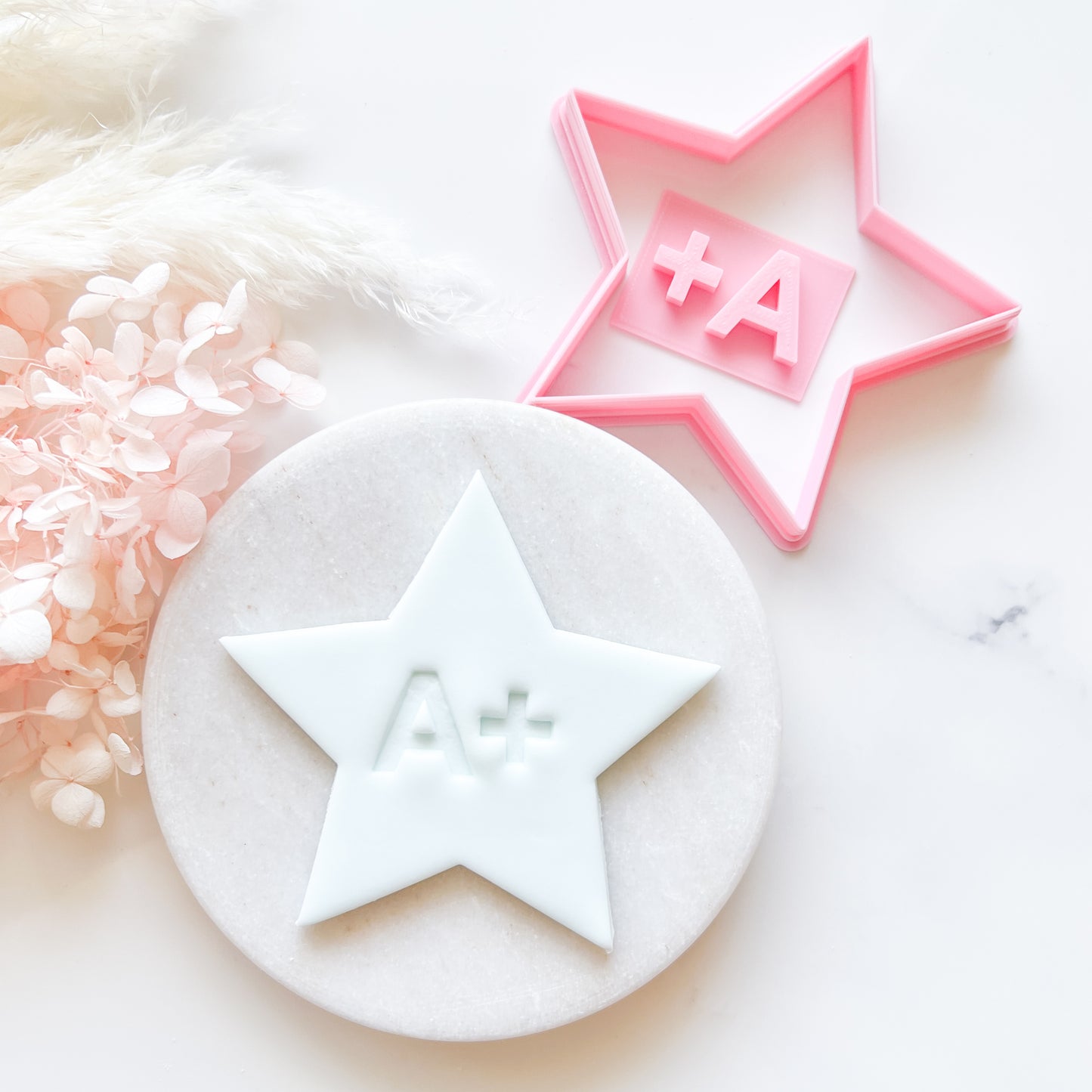 Star Cookie Cutter & A+ Stamp