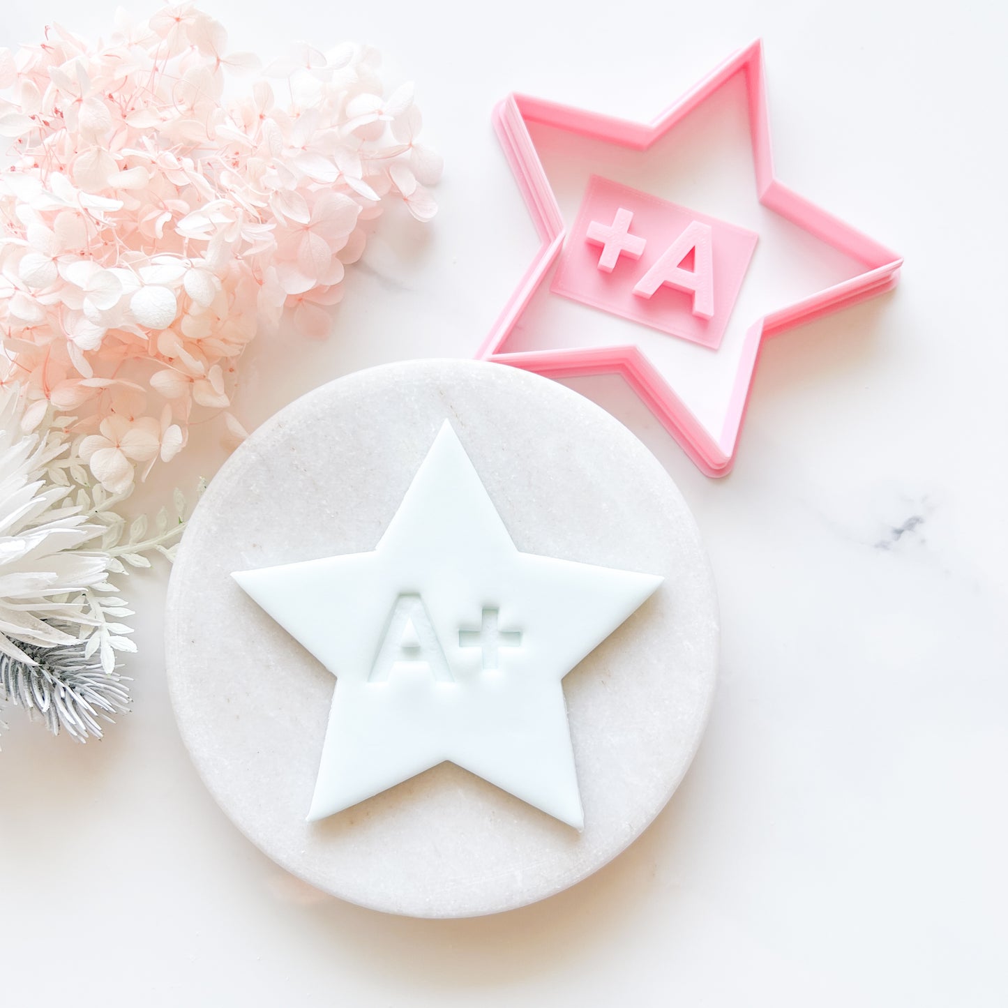 Star Cookie Cutter & A+ Stamp