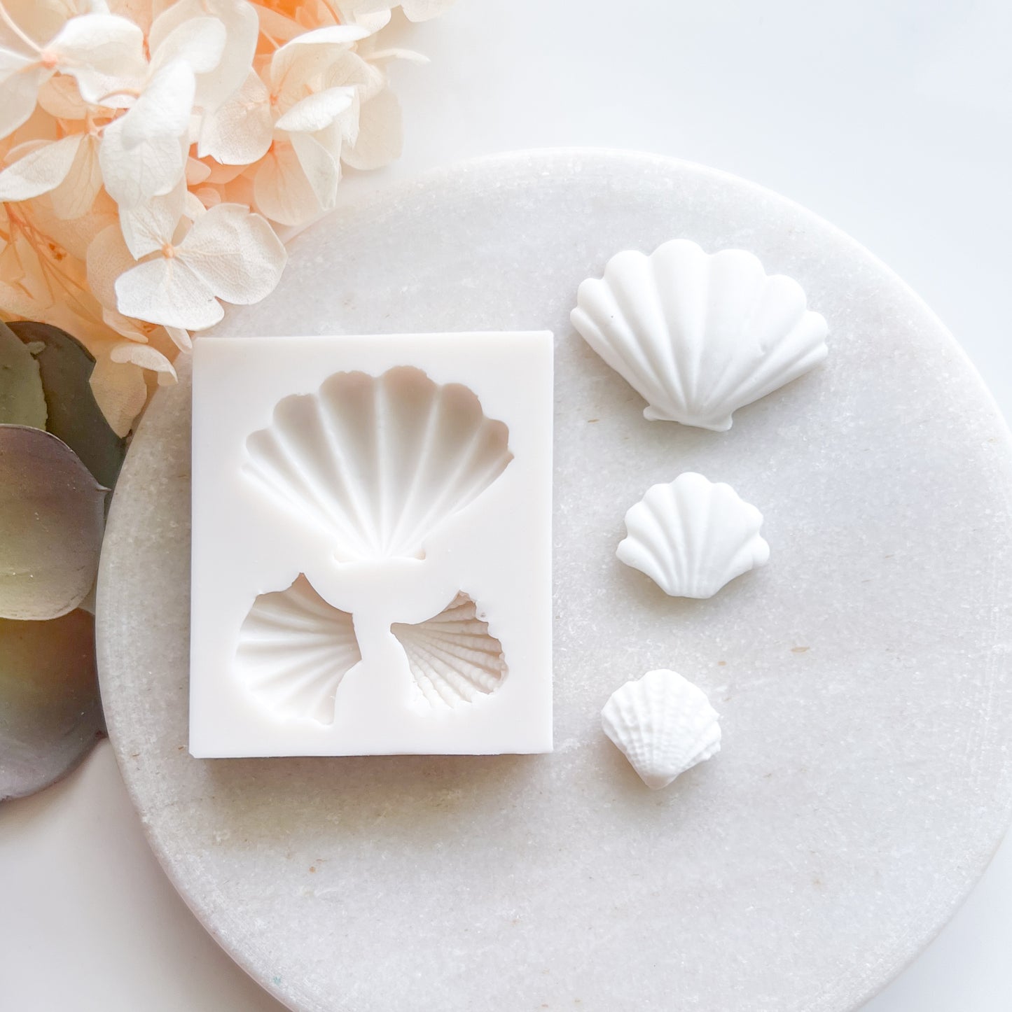 "Conch Shell" Silicone Mould