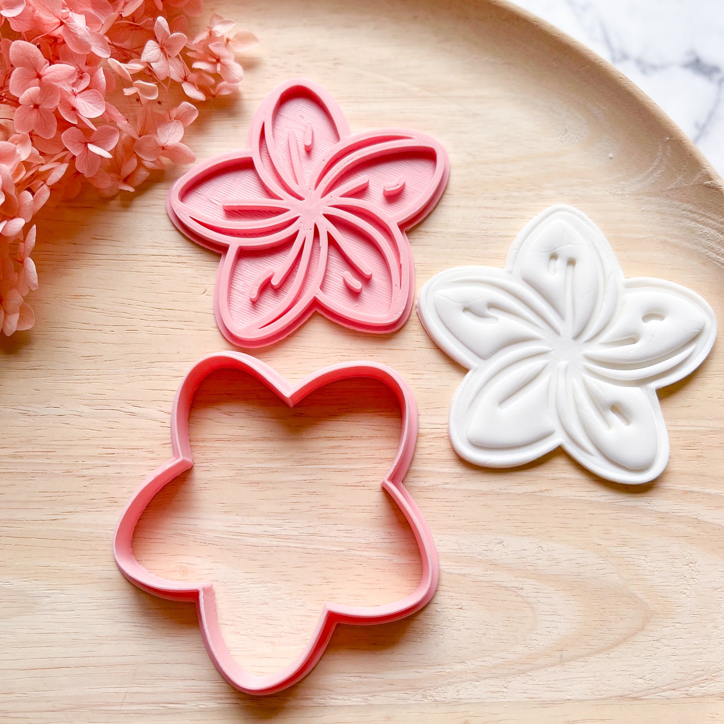 Frangipani Cookie Cutter & Stamp (Choose Size)