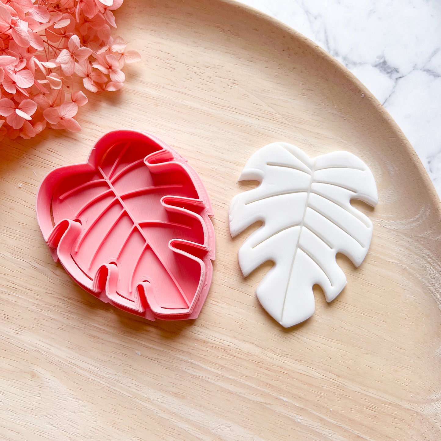 Monstera Cookie Cutter & Stamp