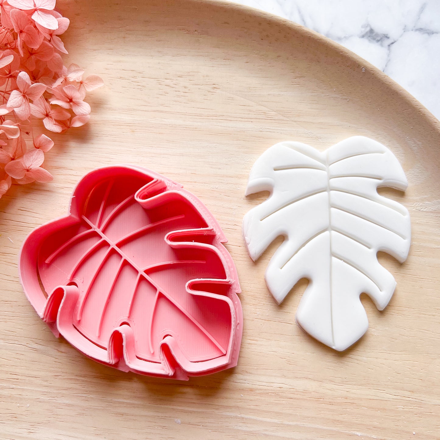 Monstera Cookie Cutter & Stamp