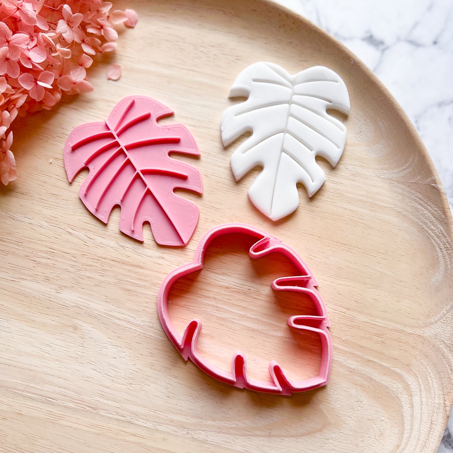 Monstera Cookie Cutter & Stamp