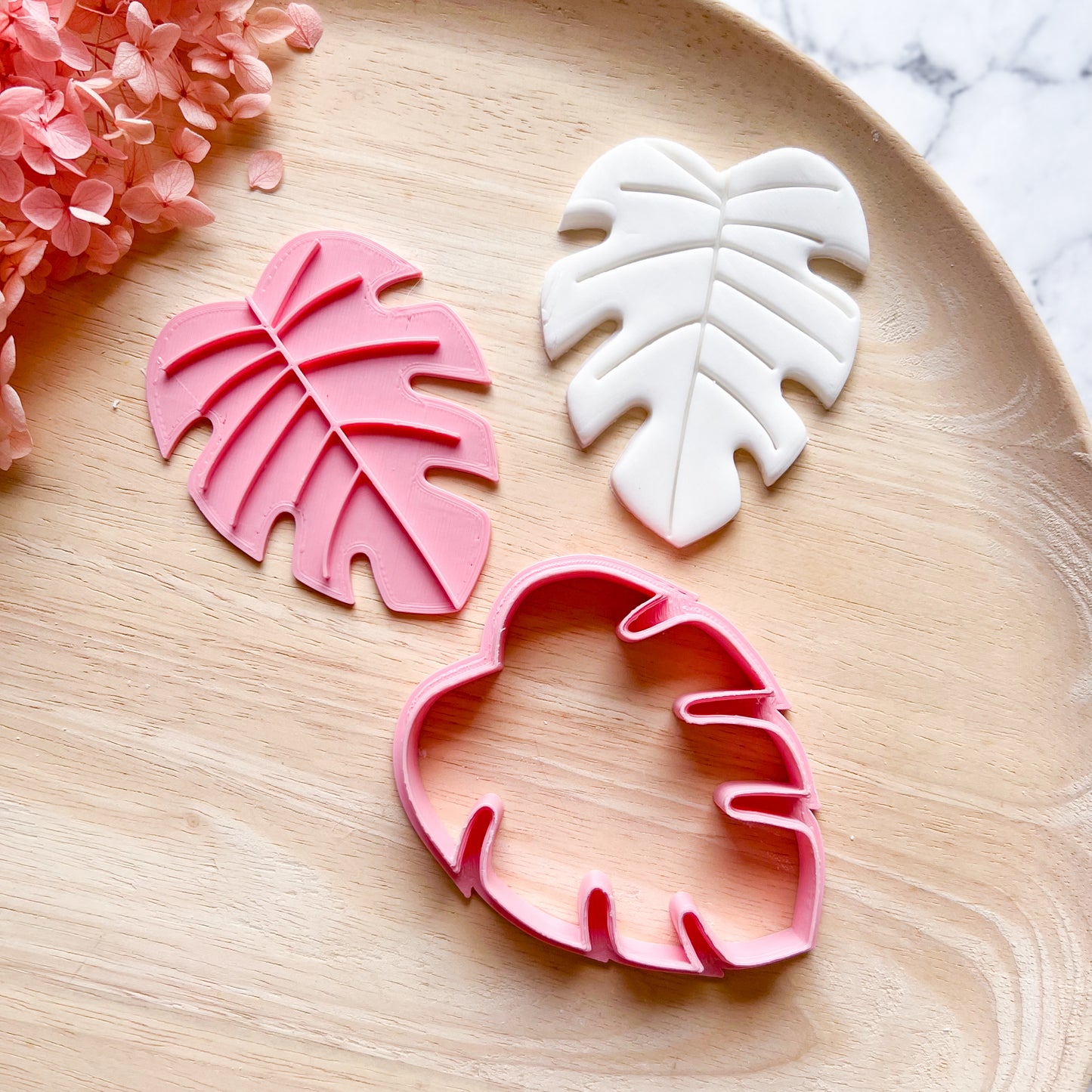 Monstera Cookie Cutter & Stamp