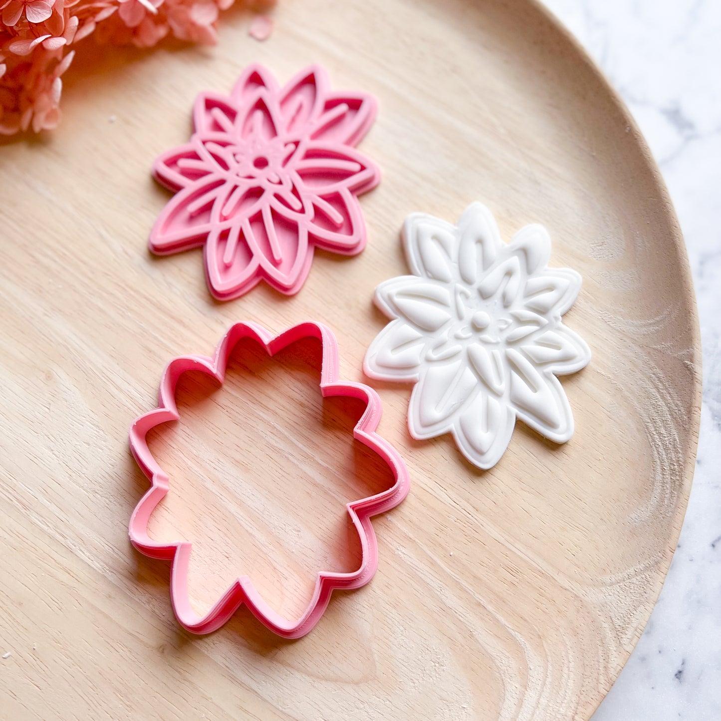 Succulent Cookie Cutter & Stamp