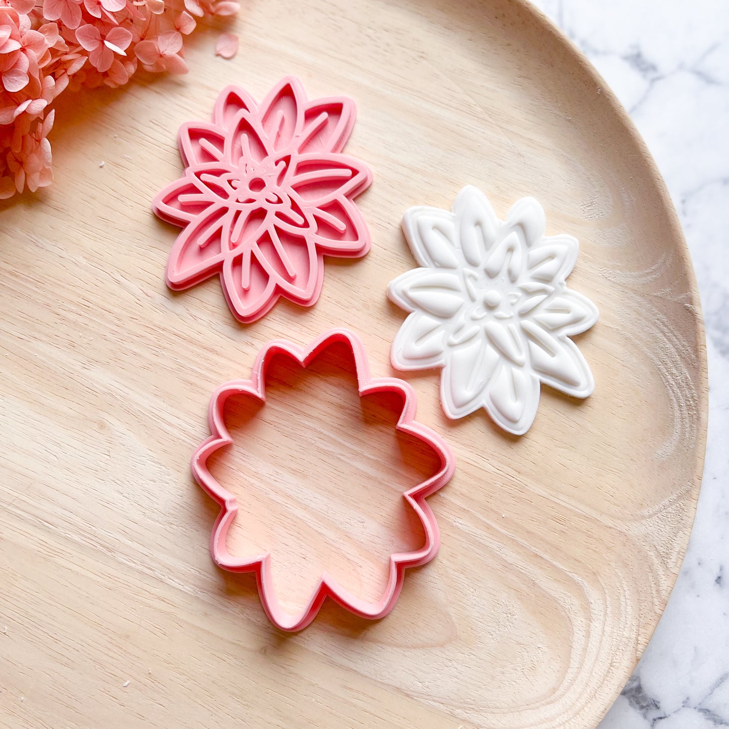 Succulent Cookie Cutter & Stamp