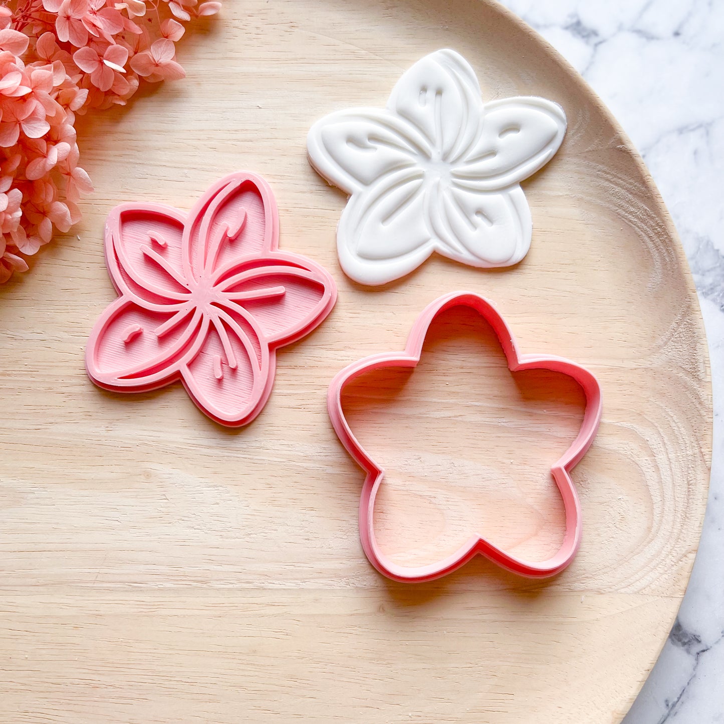 Frangipani Cookie Cutter & Stamp (Choose Size)