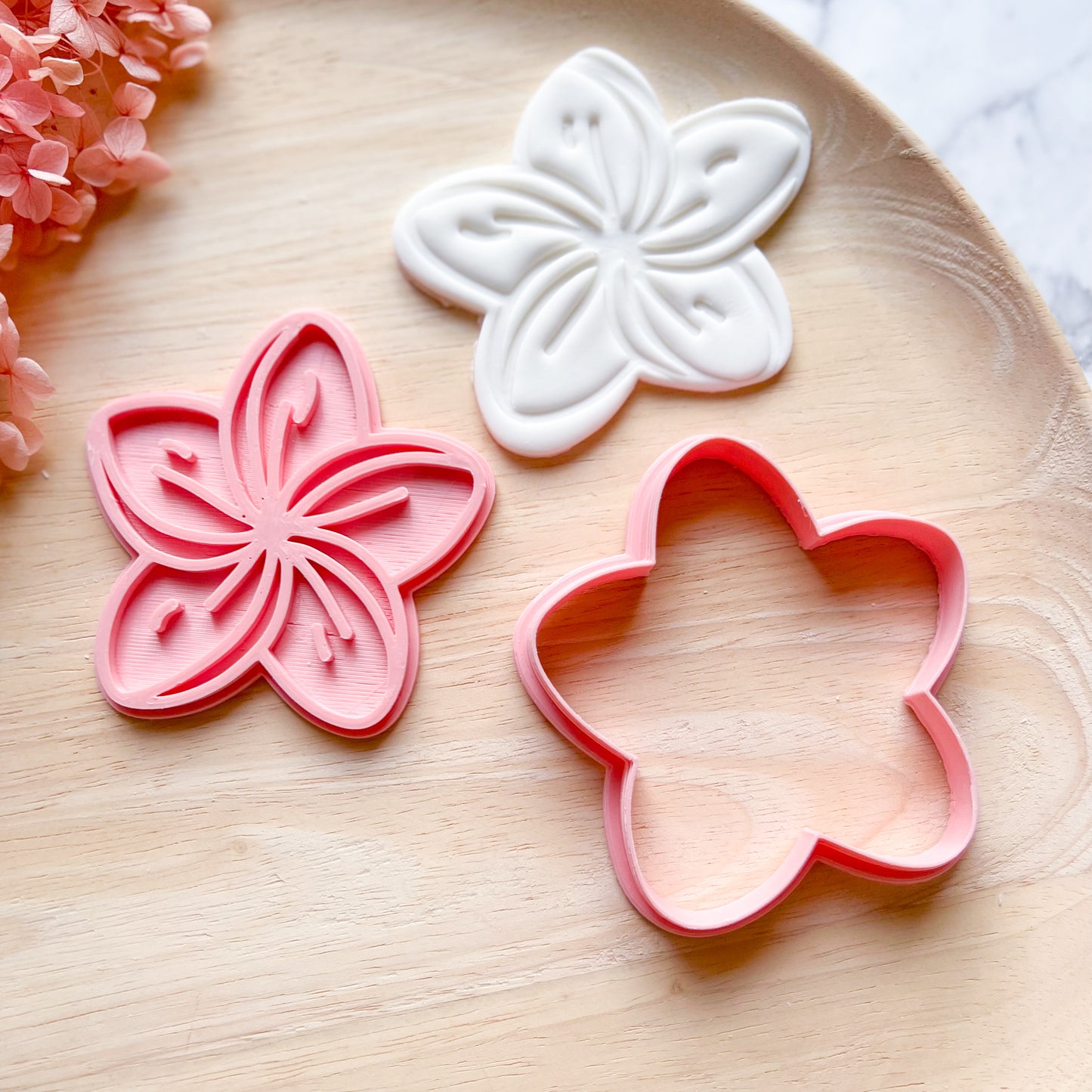 Frangipani Cookie Cutter & Stamp (Choose Size)