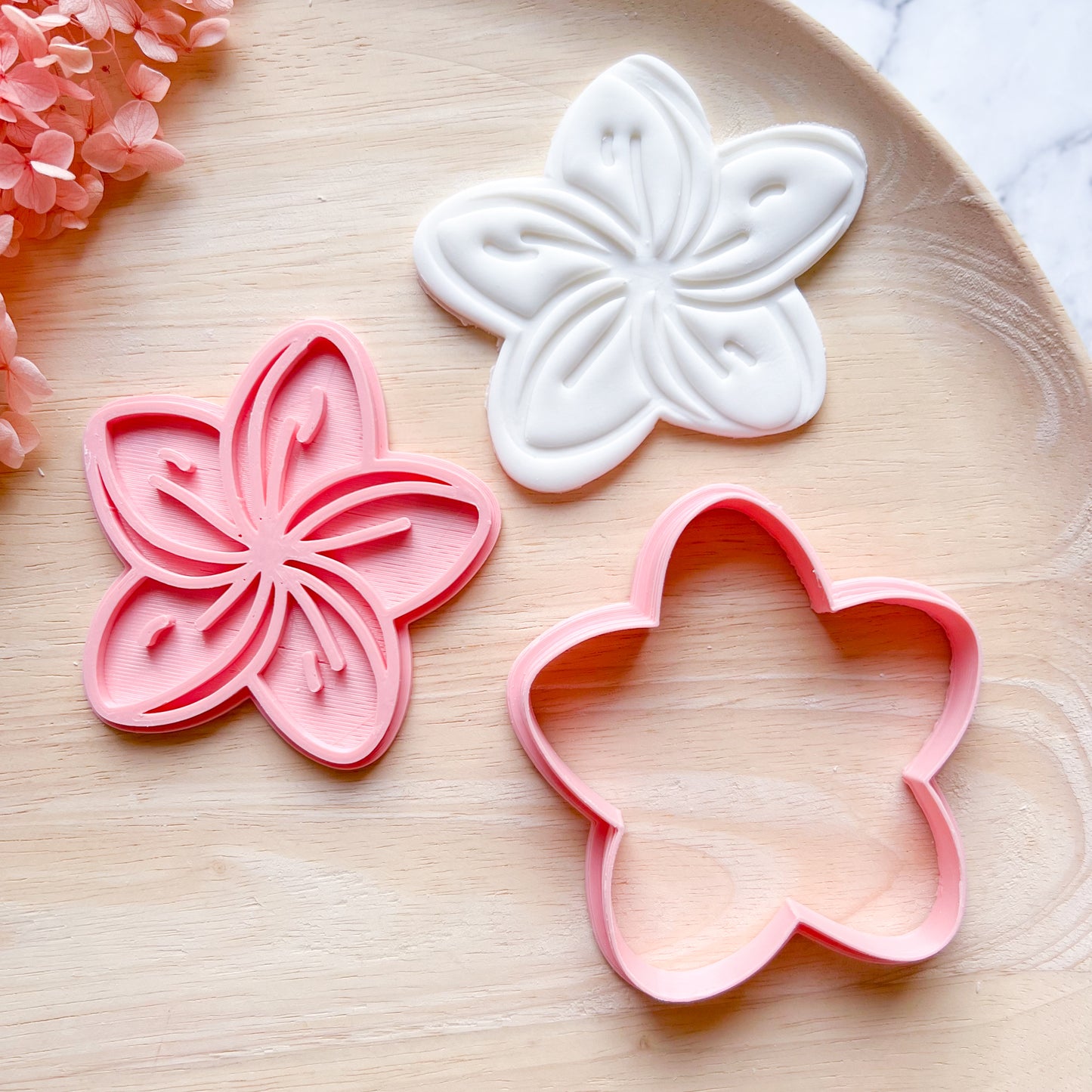 Frangipani Cookie Cutter & Stamp (Choose Size)