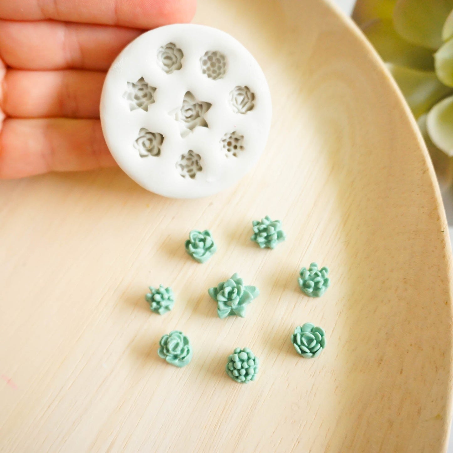 "Mini Succulents" - Silicone Mould